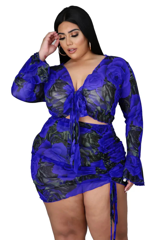 Sexy Rose Two Piece Dress Mesh Set