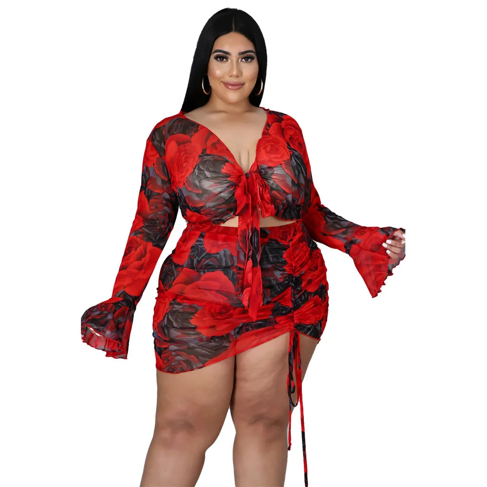 Sexy Rose Two Piece Dress Mesh Set