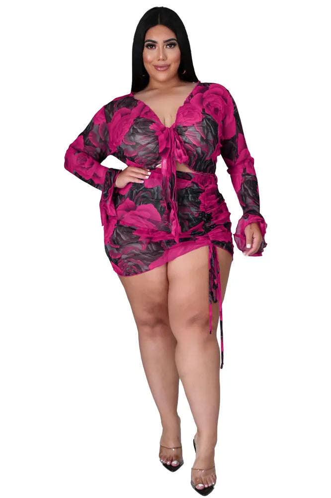Sexy Rose Two Piece Dress Mesh Set