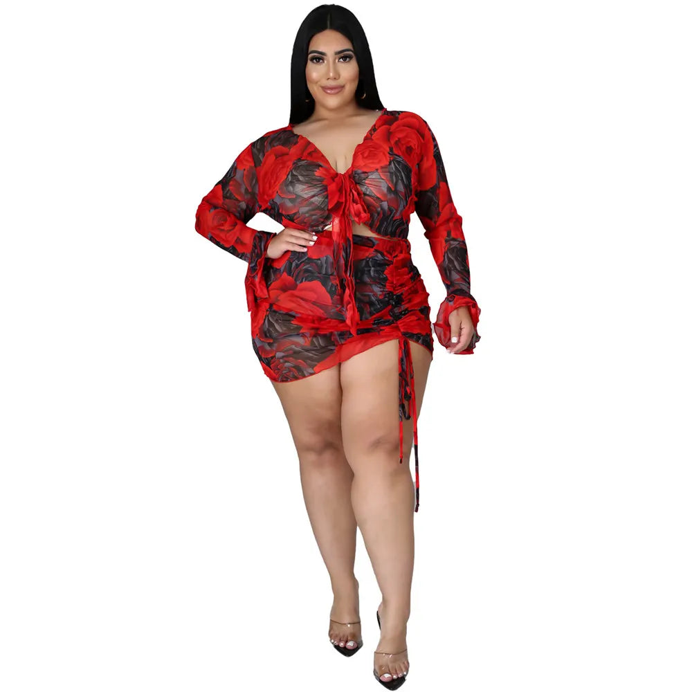 Sexy Rose Two Piece Dress Mesh Set