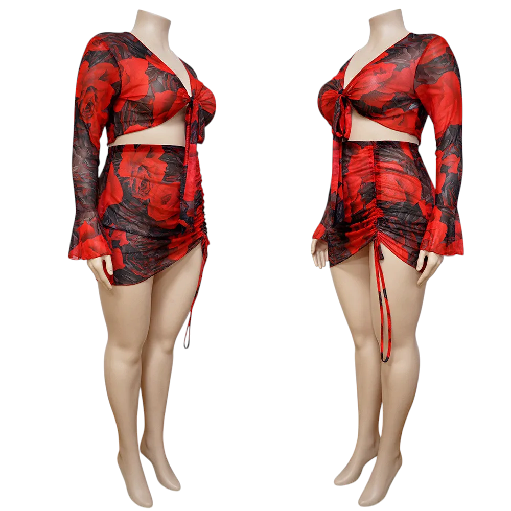 Sexy Rose Two Piece Dress Mesh Set