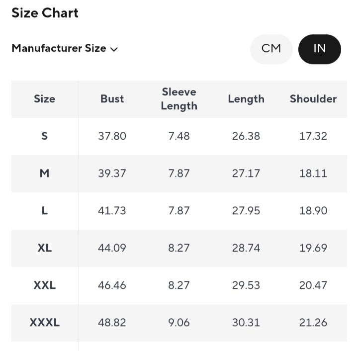 The Lost Boys vintage washed bridge tee